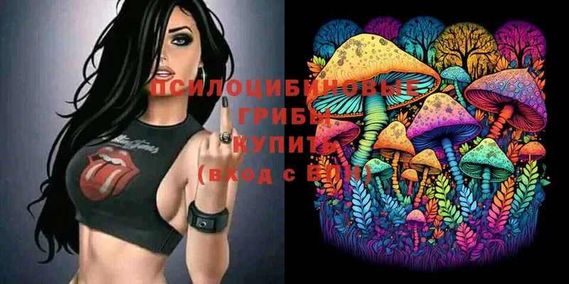 Псилоцибиновые грибы Cubensis  Белово 